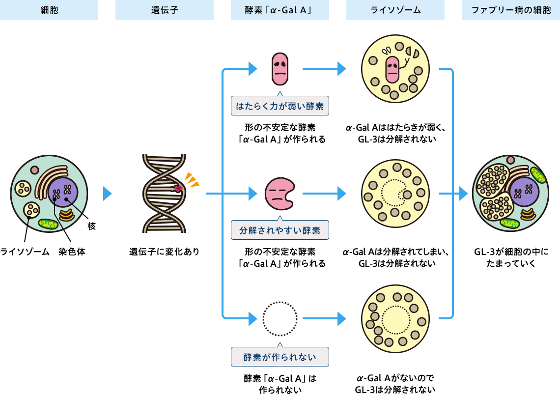 遺伝子に変化がある場合