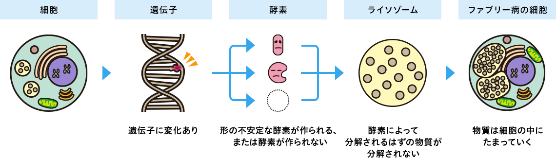 遺伝子に変化がある場合